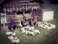 100 bird limit out morning